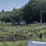 Zbog sudara dva vozila zatvorena cesta Čitluk – Mostar