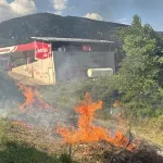 VIDEO | Gorila trava i nisko raslinje na Bakijinoj Luci