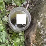 Radnici "Parka" tijekom košnje pronašli ručnu bombu u staklenci