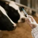 Otvorena prva tvornica veterinarskih lijekova u BiH