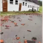 VIDEO | Snažno nevrijeme pogodilo Sloveniju, vjetar nosio krovove i rušio stabla