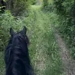 Vrijedni entuzijasti očistili i ponovo otvorili povijesnu stazu na Prenju