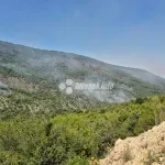Vatrogasci i mještani u Malom Polju obranili osam kuća od požara