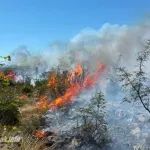Požar kod Čitluka stavljen pod kontrolu, objekti bili ugroženi