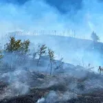 Požar na Rujištu i dalje aktivan, vatrogasci cijelu noć osiguravali požarište