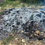 Vatrogasci gasili požar u Ilićima