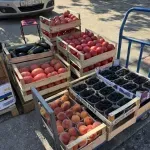 Na Veletržnici u Tasovčićima bogata i kvalitetna ponuda, pogledajte kako se kreću cijene