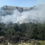 Lokaliziran šumski požar kod Trebinja