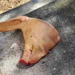 Padanje glava i mazanje očiju