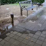 Zašto prskalice zalijevaju rasvjetna tijela? Iz Grada stiglo pojašnjenje
