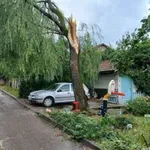 Olujni vjetar pogodio Tomislavgrad, stabla pala na kuće