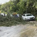 VIDEO | Oluja poharala Skoplje: Ozlijeđeno 15 osoba, tisuće poziva hitnim službama