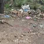 Ubojstvo u Zaliku: Uhićena još jedna osoba?