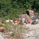 VIDEO | U Hercegovini uz cestu pronađene uginule i žive kokoši