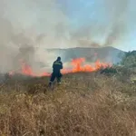 U ŽZH izbilo više požara, najveći u Kongori