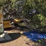 Stablo palo na kupače, ozlijeđeno dvoje djece i dvoje odraslih