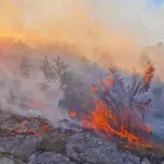 Podmetnut veliki požar kod Gacka: Vatrogasce čeka teška noć
