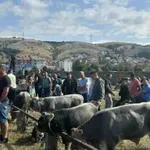 Hercegovački stočari narednog vikenda "sele" u Gacko