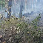 Na Vran planini spriječena katastrofa uzrokovana ljudskom bahatošću