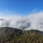 Požar na Risovcu još nije ugašen, u pomoć stigli kanaderi iz Hrvatske