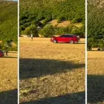 VIDEO | Na konjskim utrkama u Hercegovini automobilom gazio ljude