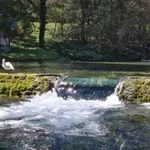I Vrelo Bosne zagađeno fekalijama: Tko štiti izvorišta i pitku vodu?