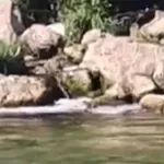 VIDEO | Neretvom teče krv