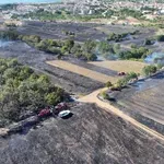 Veliki požar kod Posušja stavljen pod kontrolu: Izgorjelo 48 hektara hrastove šume i trave
