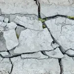 Tlo vam je tvrdo poput betona? Ovaj potez napravite prije jesenskih kiša