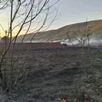 Ugašen požar kod Sovića i Drinovaca