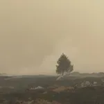 Požarna linija iznad naselja u Tomislavgradu pod nadzorom