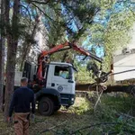 Vjetar u Mostaru srušio stablo, djelatnici Komunalnog sanirali posljedice
