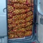 Pokušao preko granice prevesti 4,5 tona mandarina, zaustavljen kod Ljubuškog