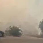 VIDEO | Požar kod Gruda: Gori šuma, gust dim prekrio cestu