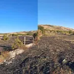 Vatrogasci gasili požar na Gorancima