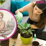 "Nisem pričakovala, da bo šlo tako daleč – moje stanovanje je neprepoznavno!"