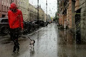 Beograđanin izveo psa u šetnju po pljusku, onda je uradio nešto što je ljude raspametilo (VIDEO)