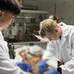 Trije mladi z Domžalsko-Kamniškega najboljši na mednarodni anatomski olimpijadi