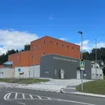 Narobe svet. Ko je župan v svoji službi podrejen direktorju, na občini pa se situacija zamenja?