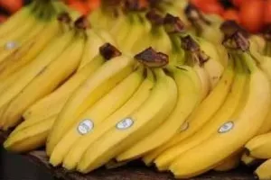 Nálepky na banánech mají svůj důvod. Pokud toto označení na ovoci uvidíte, neměli byste ho kupovat. Toto číslo je velmi důležité!