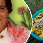 Tohle ze zahrady vyhazujete – a přitom to léčí skoro všechno!