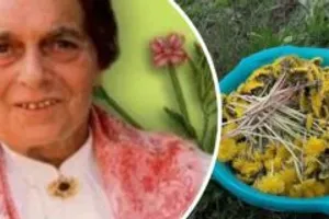 Tohle ze zahrady vyhazujete – a přitom to léčí skoro všechno!