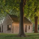3 fa, amit a kertészek szerint soha nem szabad elültetni – később átvehetik az uralmat a kerted felett
