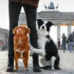 13+1 érdekesség Berlinről: döner, kutyák, hidak és a világ leghosszabb szabadtéri galériája