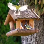 Áprilistól ezt már ne tedd se a kertben, se az erkélyen – inkább ártasz vele, mint segítesz