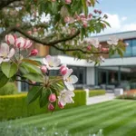 7 szinte elpusztíthatatlan fa, amit most ültess a kertedbe