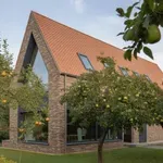 A hiba, amit szinte mindenki elkövet a gyümölcsfáknál – és évekre tönkreteszi a kertet