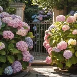 Ezt ne tedd a hortenziával áprilisban – különben idén nem fog virágozni