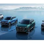 Ritka villámrajt a magyar autópiacon