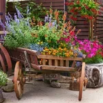 7 virág, amit márciusban ültess ki, ha évekig gyönyörködnél bennük